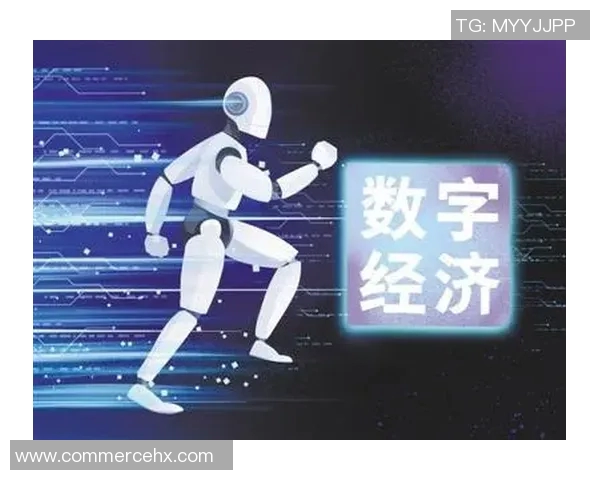 探索369纳尔Carry的魅力与潜力在数字经济时代的应用与发展